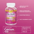 Sugar Free Calcium Gummy Bites Plus 400 IU Vitamin D3, Bone Health