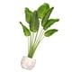 thumbnail image 4 of 1 juego de adhesivos de pared para plantas en maceta, ideales para sala de estar o bonsáis. Adhesivos de pared vívidos para interiores., 4 of 7