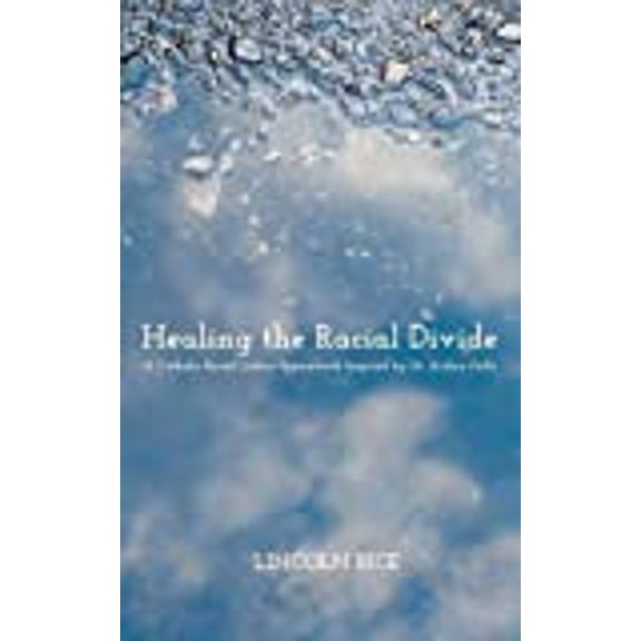 Healing the Racial Divide (Hardcover)