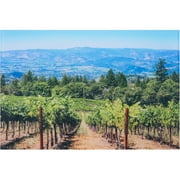 20x30 Acrylic Photo Print