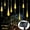 Warm White, variant on LINLIN LED Meteor Shower Solar Lights Garden, Waterproof 30cm 10 Tubes 360LEDs Falling Raindrop Cascading Decorative String Lights for Holiday Party Wedding Christmas Tree Decoratio