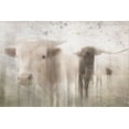 thumbnail image 2 of LightBoxJournal 24x17 White Modern Wood Framed Museum Art Print Titled - Antique Farm 17, 2 of 4