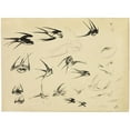 thumbnail image 3 of Félix Bracquemond 24x19 Black Modern Framed Museum Art Print Titled - The Swallows (1881), 3 of 5