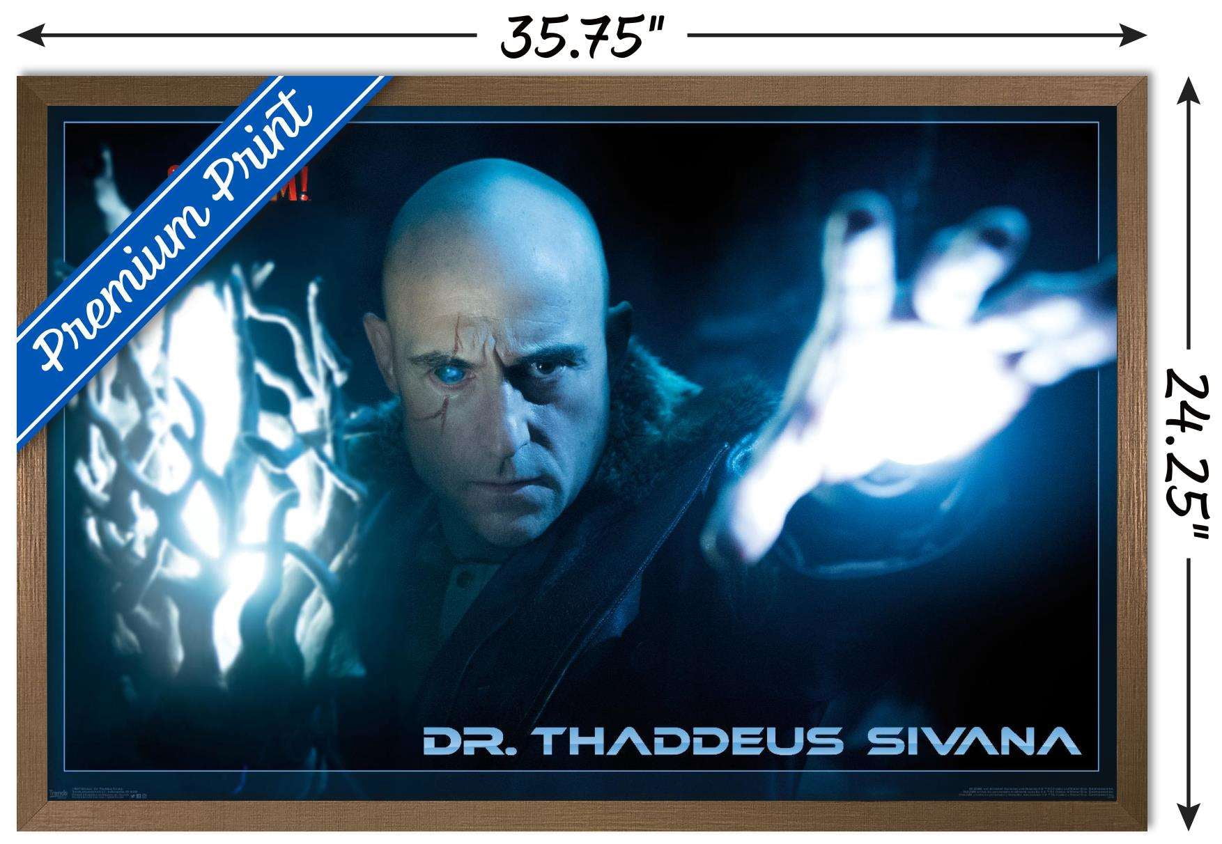 DC Comics Movie - Shazam - Dr. Sivana Wall Poster, 22.375" x 34", Framed