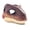 Giganotosaurus, variant on Hard Plastic Dinosaur Mask with Roaring Sounds,Moving Mouth Dino Raptor Masks,Interaction Dino Helmet,Halloween Birdthday Dinosaur Costume