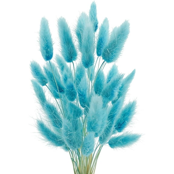 17’’ Natural Bunny Tails Dried Flowers, 50 Pcs Dried Lagurus Ovatus, Dried Pampas Grass for Flower Arrangements Wedding Centerpieces Home Boho Baby Shower Party Fall Decorations (Orange)