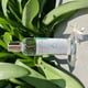 thumbnail image 3 of Kit con Tónico facial y desmaquillante AllSkin, 3 of 3