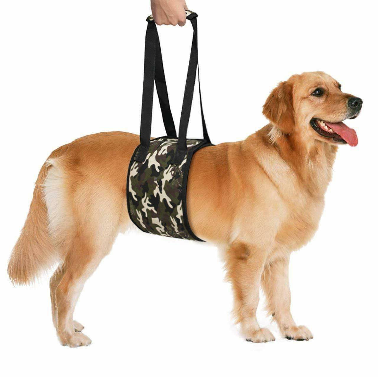 pet harness walmart