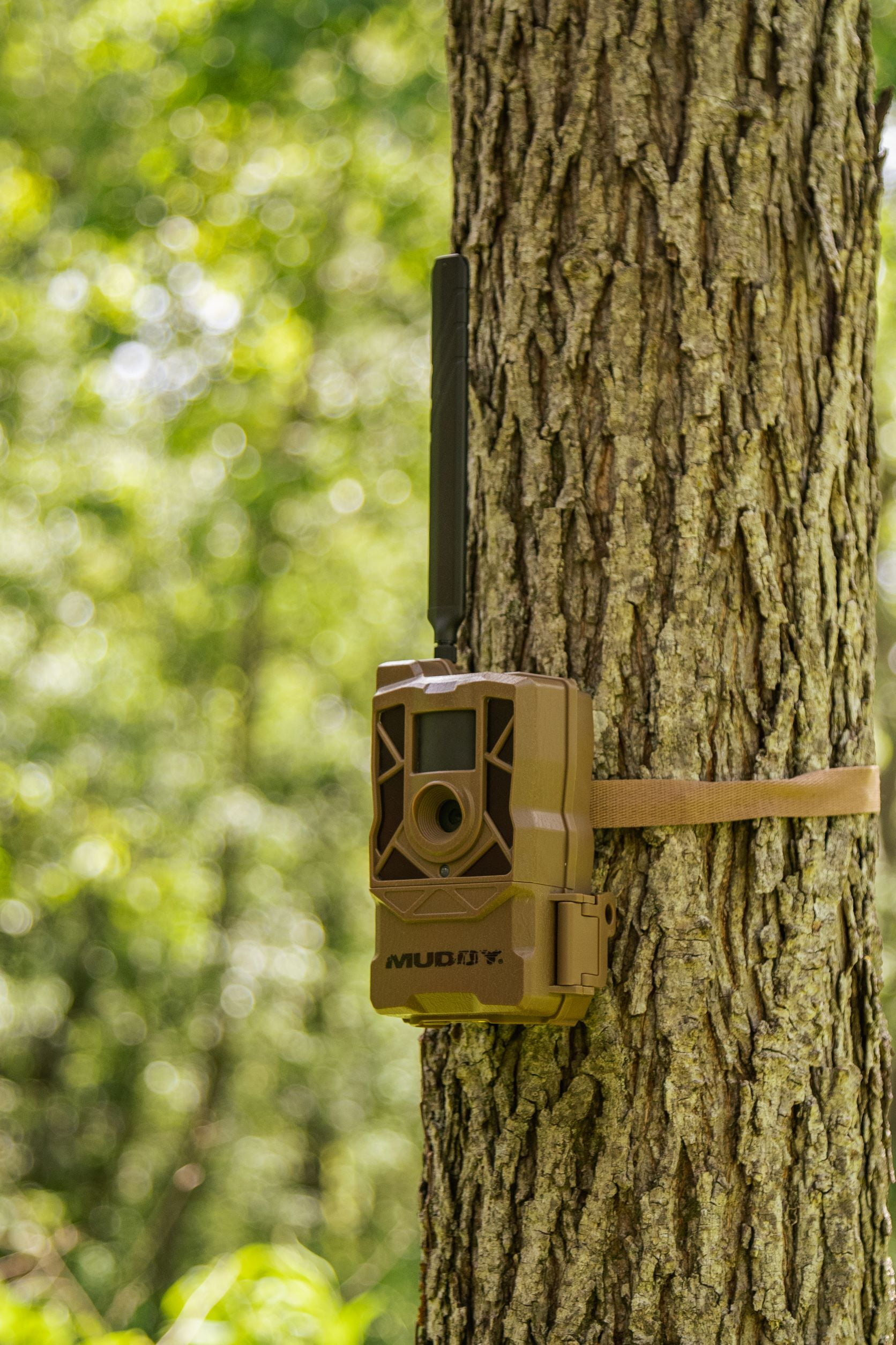 Muddy Morph Cellular Trail Monitor, 26 Megapixels, Verizon