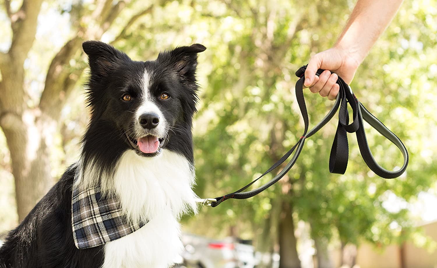 Leashboss 3X - Two Handle Dog Leash with Extra Traffic Handle - Heavy Duty Double Padded Handle Lead for Walking and Training Large Dogs