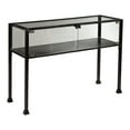 thumbnail image 1 of SEI Furniture Distressed 2 Door Metal Terrarium Display Console Table, Black, 1 of 5