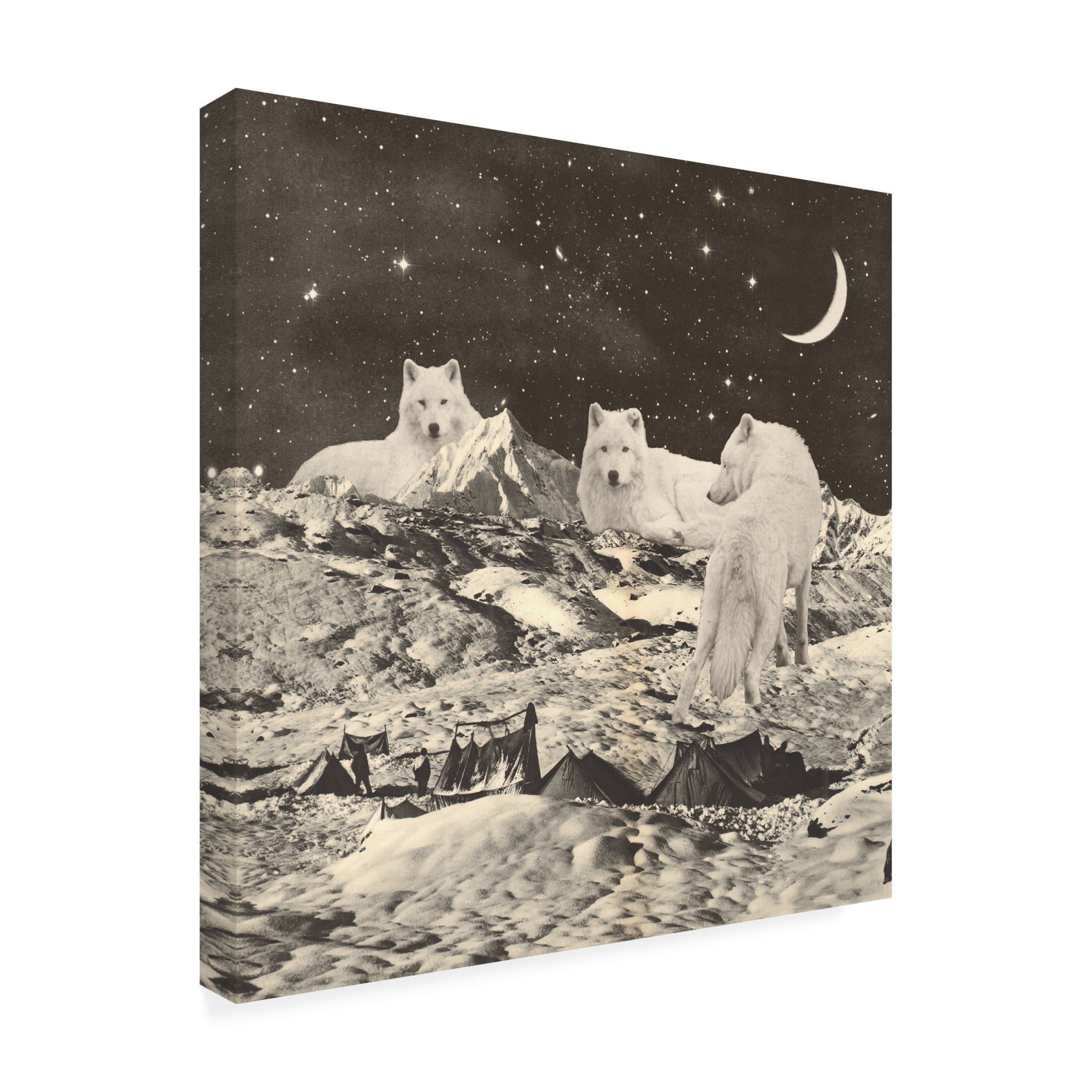 Trademark Fine Art Florent Bodart Giant White Wolves Canvas Wall Art