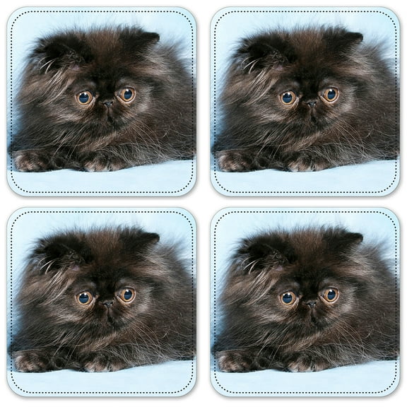Vinyl Drink Coasters - Set of 4 - Fuzzball Kitten