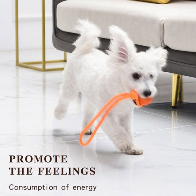 Pet Ball Toy With Rope Bite Resistant Chew Toy Teeth Cleaning Toys Outdoor Traning Pet Accessories