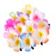 thumbnail image 3 of 12 piezas PLUMERIA CLIPS CAILLO BEACHE BEACHE CLIP CLIPS ACCESORIOS DE CABELLO, 3 of 4