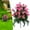 H, variant on 19" Silk Artificial Memorial Bouquet - Weather-Resistant Grave Site Decor for Headstones & Outdoor Cemeteries, UV-Protected Floral Arrangement Honoring Loved Ones on Memorial Day