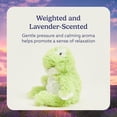 thumbnail image 3 of Warmies Junior 9” Frog Stuffed Animal, Microwavable Heated Plushies and Weighted Soft Plush Toys, 3 of 7