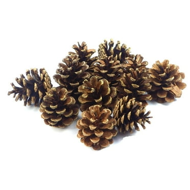 45PCS Natural Pine Cones, Untreated, 5-8cm, Perfect For Diy Crafting & Christmas Decor, Rustic Farmhouse Style, Non-toxic, Harvested Directly From Pine Trees, Winter Holiday