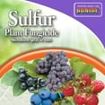 thumbnail image 4 of DUST SULFUR FUNGICIDE (Pack of 1), 4 of 4