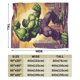thumbnail image 4 of Manta de franela de Hulk, suave y acogedora manta de felpa para todas las estaciones para niños y niñas, manta ligera y cálida para cama, sofá o viaje, 80 x 60 pulgadas, 4 of 8