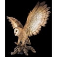 thumbnail image 3 of Hi-Line Gifts 20.5" Brown and Beige Barn Owl on Stump Figurine, 3 of 5