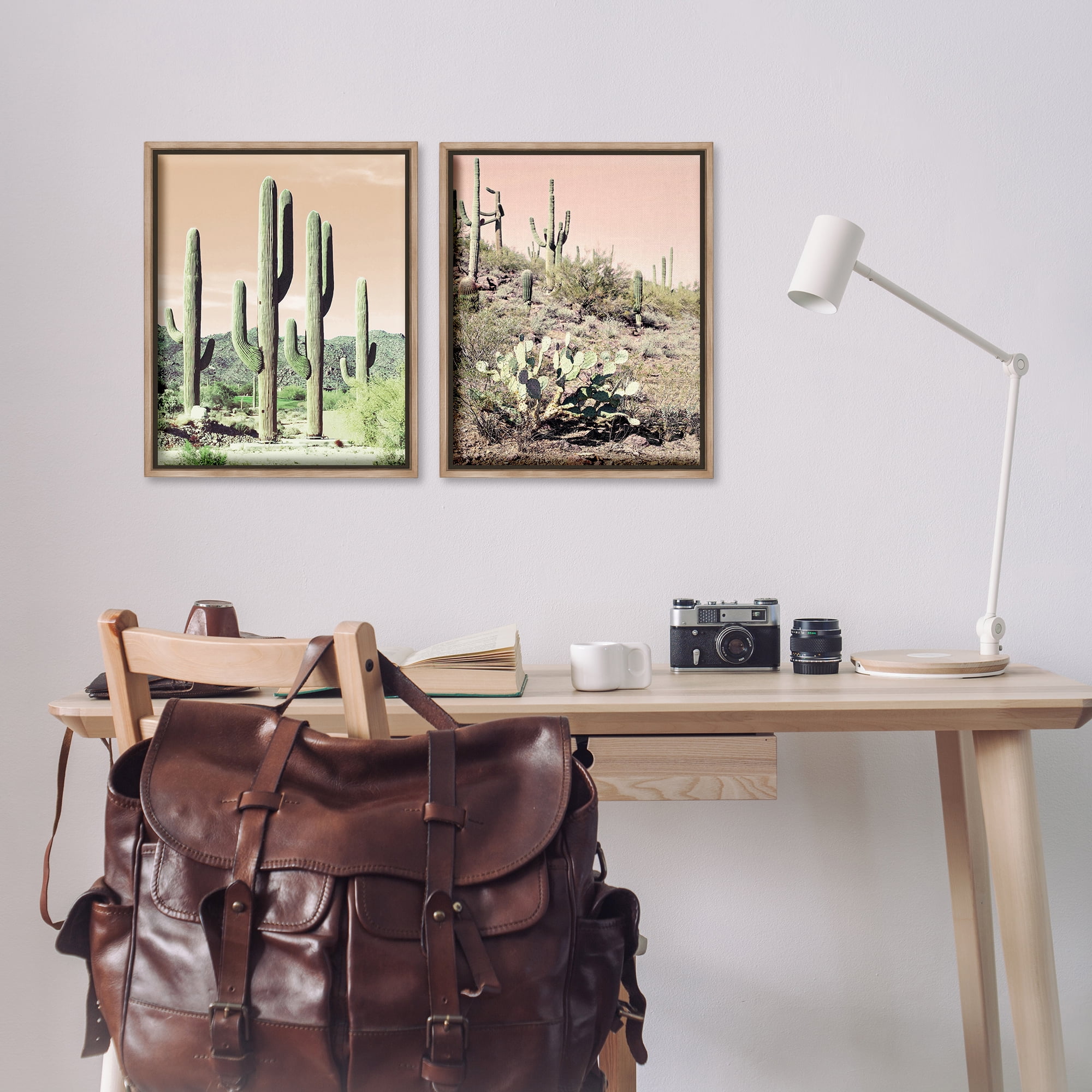Stupell Industries Saguaro Cactus Desertscape Landscape & Nature Photography Brown Floater Framed Canvas Art Print Wall Art, 17 x 21, Set of 2