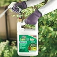 thumbnail image 3 of Bonide Captain Jack's Lawnweed Brew, 128 oz Herbicide Spray, Controls Weeds, Moss, Algae, Lichens, 3 of 8