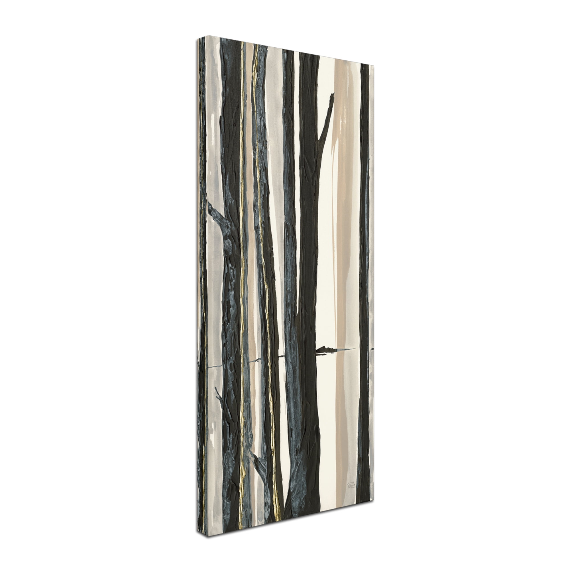 Trademark Fine Art 'Through the Trees I' Canvas Art by Chris Paschke
