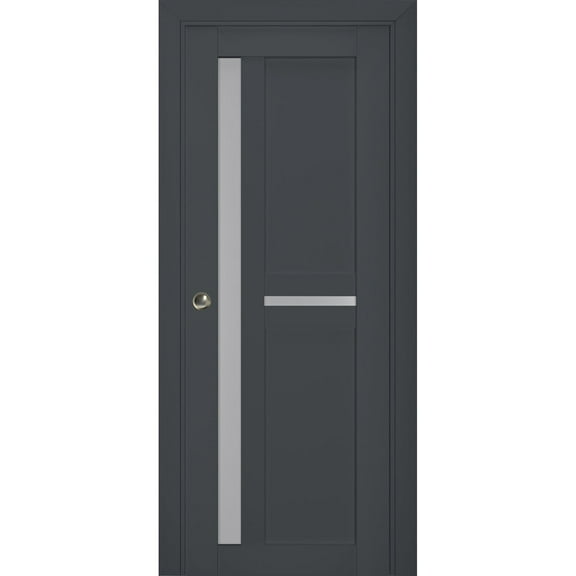Sliding French Pocket Door with Frosted Glass | Veregio 7288 Antracite | Kit Trims Rail Hardware | Solid Wood Interior Bedroom Sturdy Doors-36" x 84"