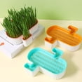 thumbnail image 3 of YAOMOBB Catnip Planting Box Hydroponic Grass Planter Detachable Bottom with Fine Filter Hole Double Layer for Soilless Growing, 3 of 7