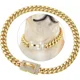 thumbnail image 1 of Collar De Cadena De Oro Para Perro Con Hebilla De Seguridad, 1 of 8