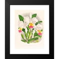 thumbnail image 2 of Jean Jules Linden 19x24 Black Modern Framed Museum Art Print Titled - Cattleya Kimalliana (1885-1906), 2 of 5
