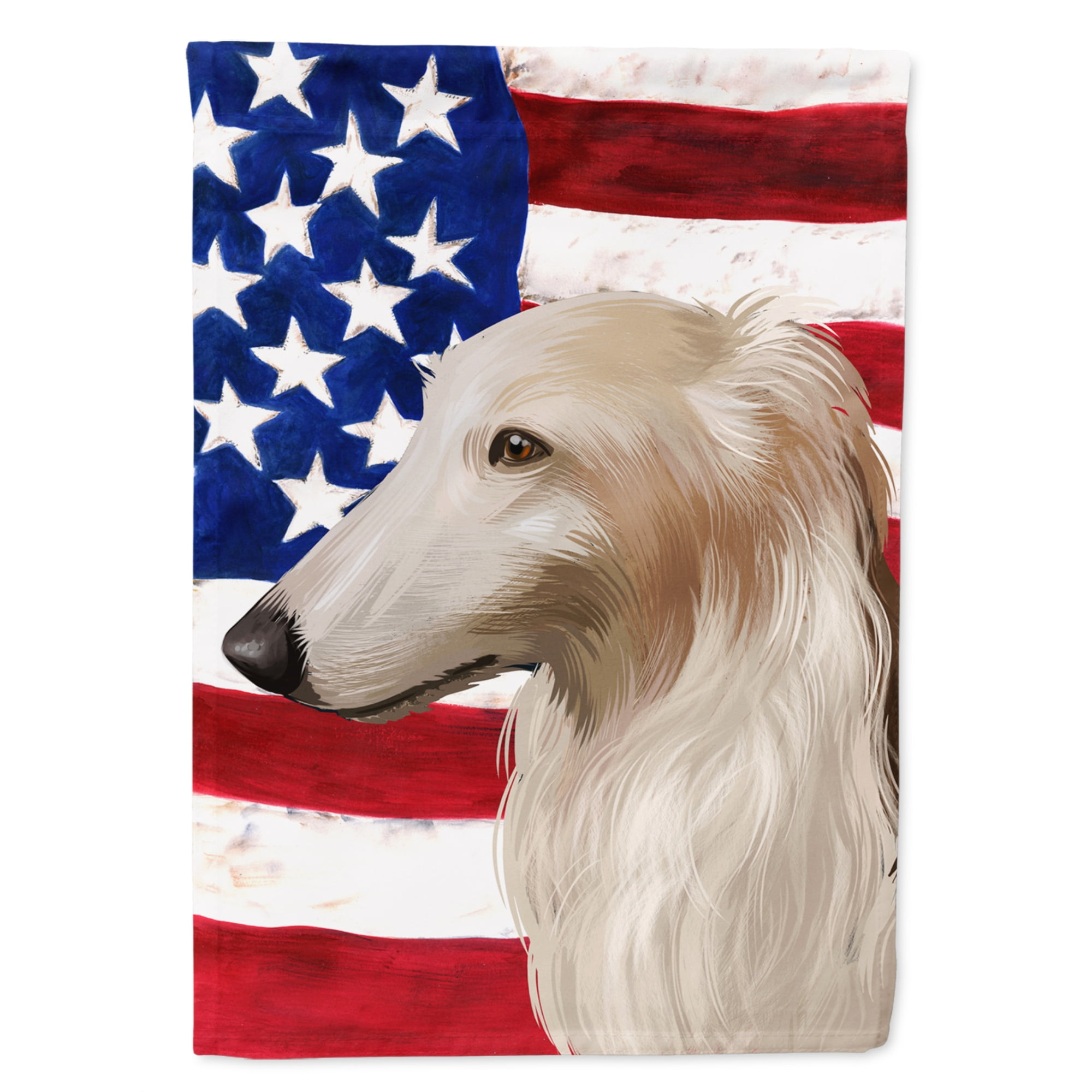 A Border Collie Dog Carries The American Flag Outside Stock