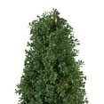 thumbnail image 3 of Northlight Pre-Lit Artificial Boxwood Cone Topiary Tree in Round Pot - 4' - Clear Lights, 3 of 6