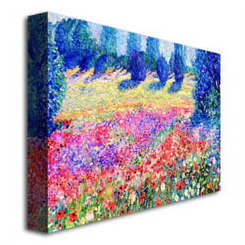 "Poppies" Canvas Art by Manor Shadian