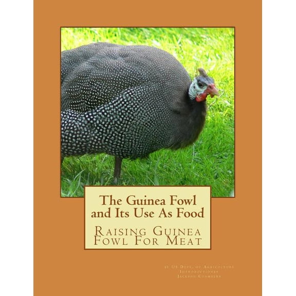 Guinea Fowl and Its Use As Food : Raising Guinea Fowl for Meat