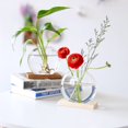 thumbnail image 4 of EIMELI Nordic Mini Creative Glass Clear Flower Vase Plant Bottle Hydroponic Terrarium Container Holder with Wood Stand Table Embellishment for Home Living Room Office Garden(Without Plant, 4 of 11