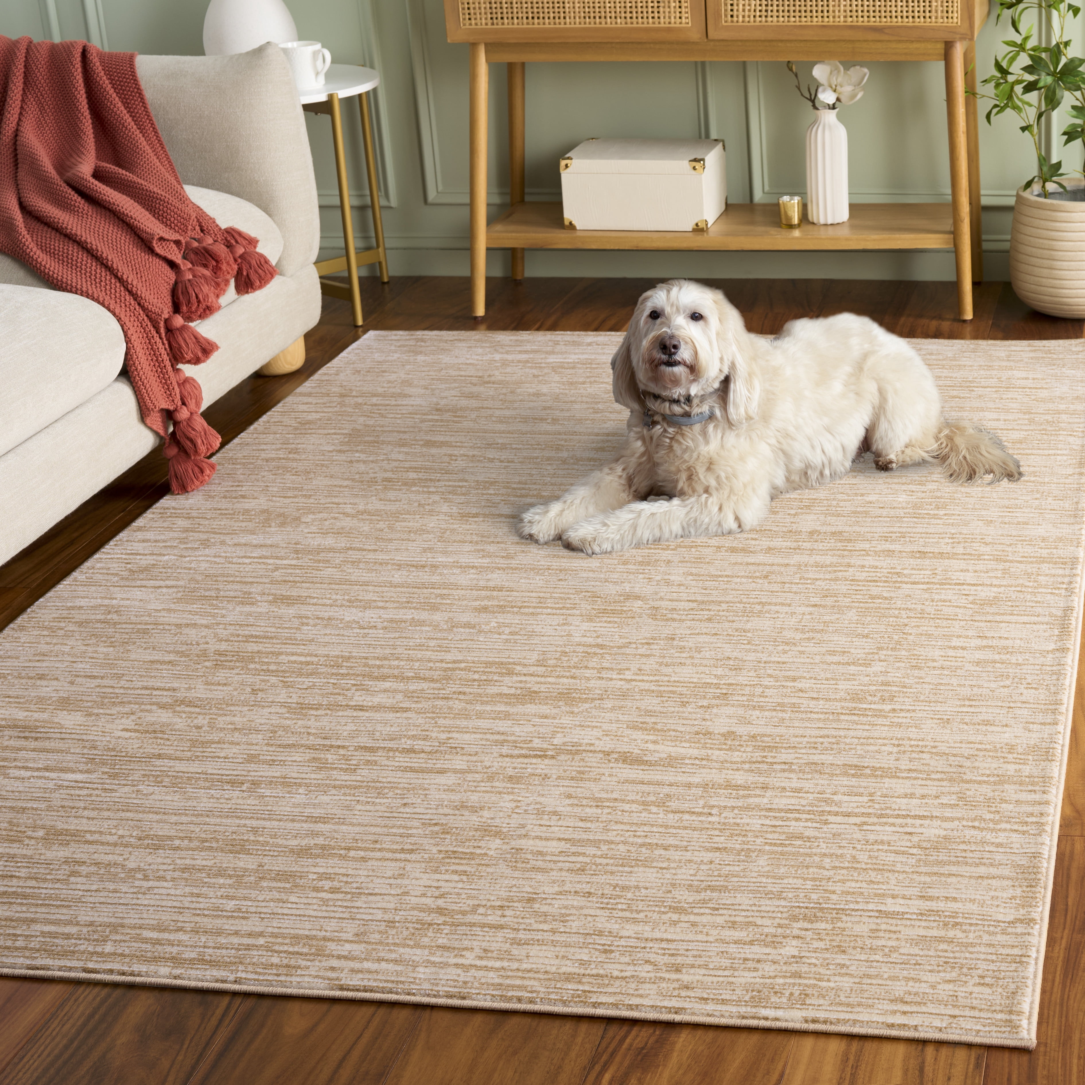 SAFAVIEH Vision Adrasteia Overdyed Solid Area Rug, 6' x 9', Beige - Modern Design, Beige, Non-Shedding & Easy Cleaning, Ideal for Living Room, Bedroom, Dining Space