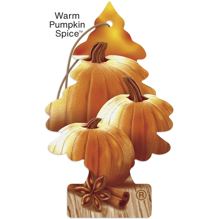 2 pack) Little Trees Air Freshener Warm Pumpkin Spice Fragrance 3