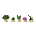 thumbnail image 1 of Planta bonsái en miniatura a escala 1:64 para casa de muñecas, macetas, mini macetas beige, 1 of 9