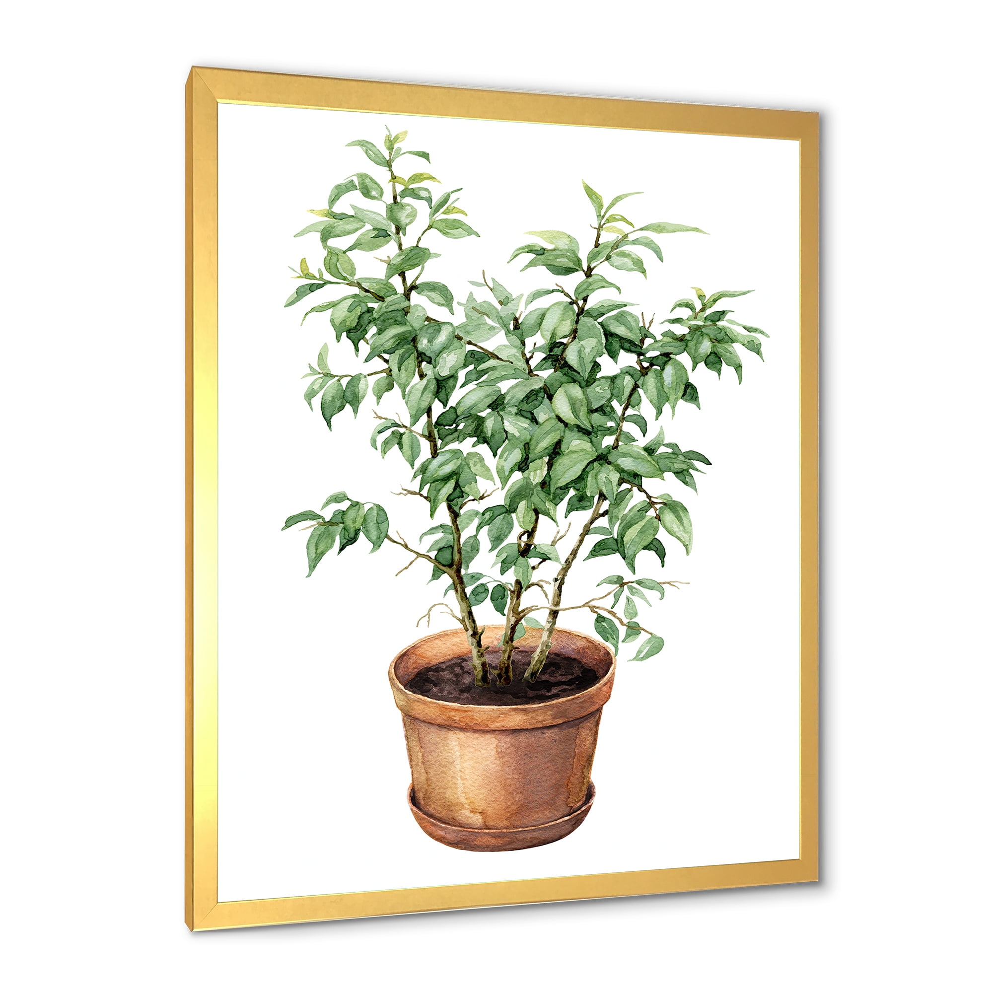 Designart 'Ficus Benjamina Plant In Clay Flowerpot' Traditional Framed Art Print
