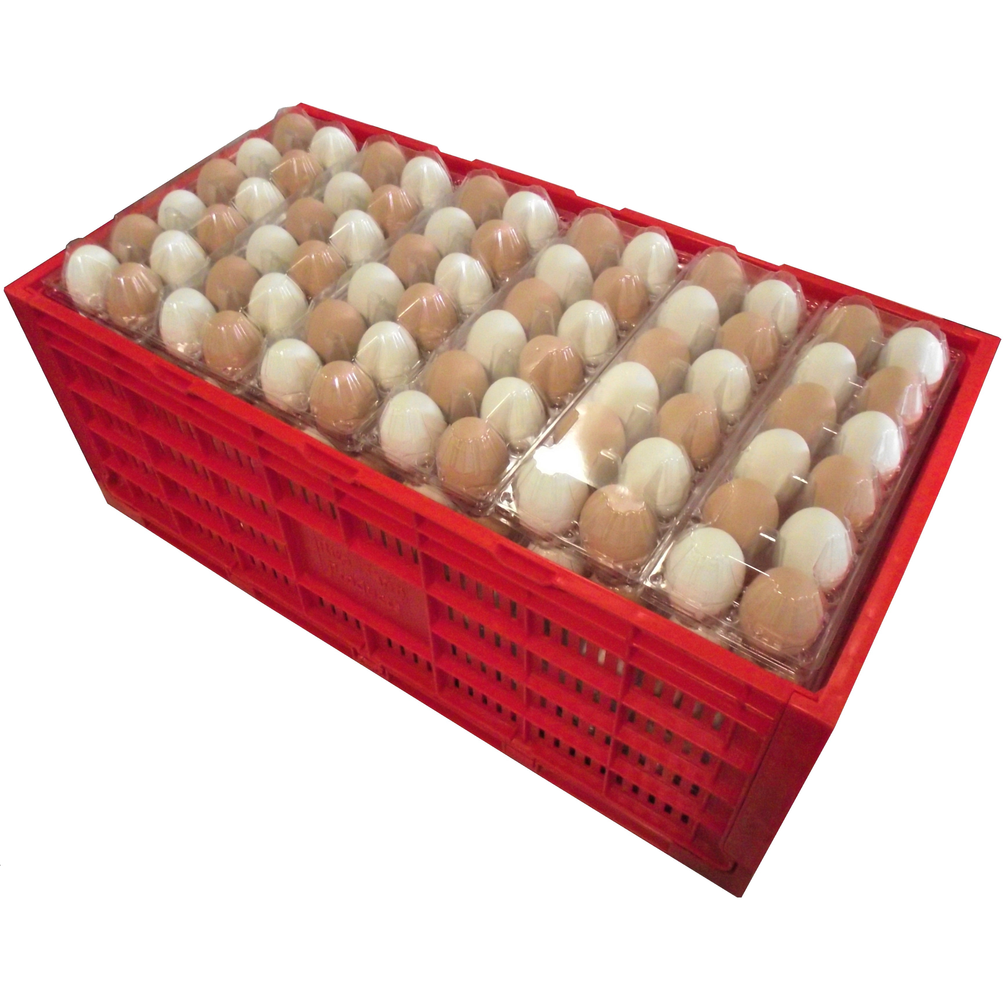 RITE FARM PRODUCTS EGG TRAY CARTON TRANSPORT CRATE CHICKEN SHIPPING POULTRY CASE
