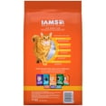 thumbnail image 3 of Iams Proactive Health Adult Hairball Care with Chicken & Salmon Dry Cat Food, 3.5 lb, 3 of 12