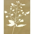 thumbnail image 2 of Jill, Susan 15x18 White Modern Wood Framed Museum Art Print Titled - Honey Botanical II, 2 of 4