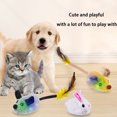 thumbnail image 4 of Jouet de Chat Interactif avec Queue de Plume pour Chaton Chien Exercice Extérieur Intérieur, 4 of 9