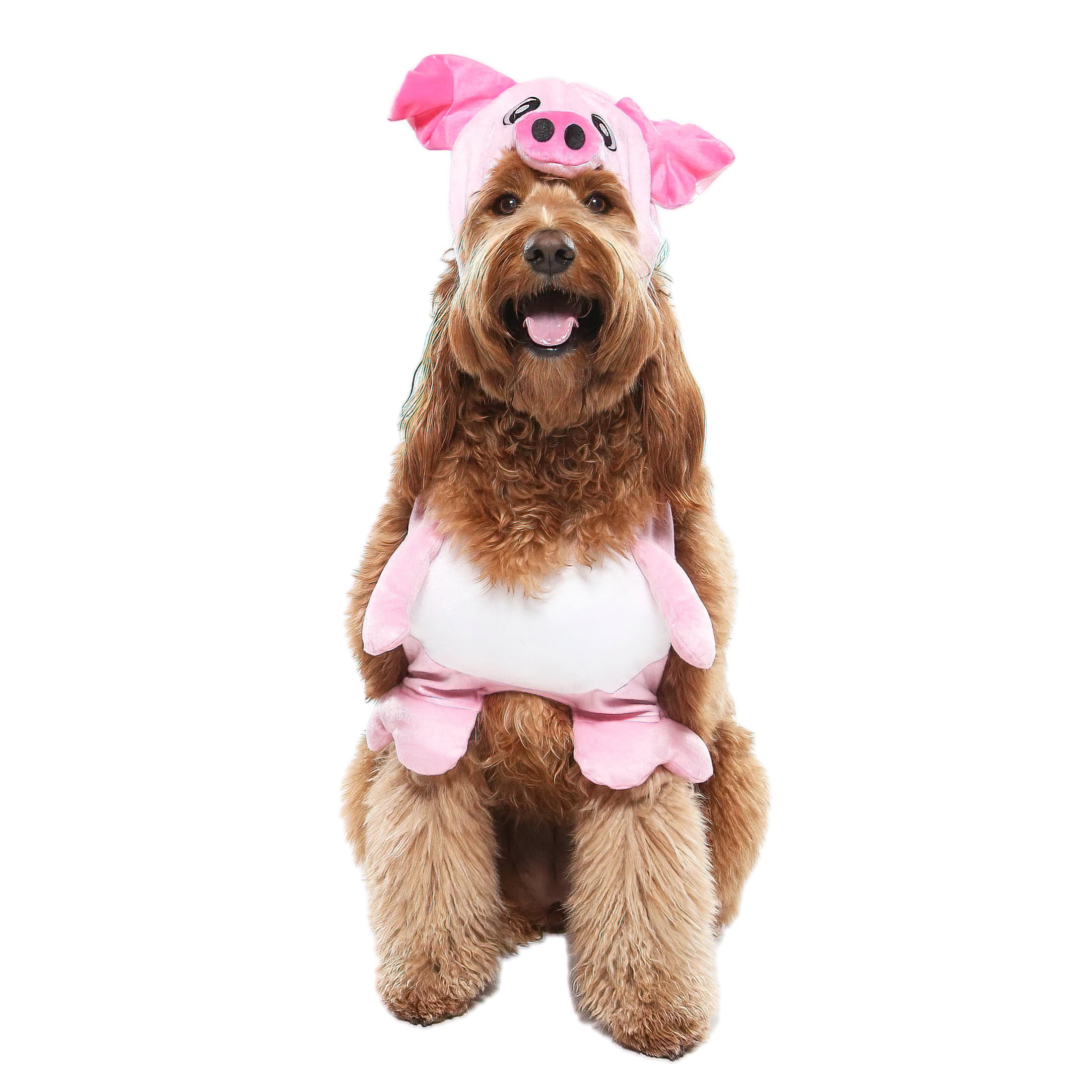 Vibrant Life Vl Hw Costume Pig Medium