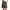 01 Army Green, variant on Airmenty Womens Shorts High Waist Shorts for women Zippered Wide Leg Shorts with Pockets