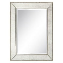 Champagne Beed Beveled Rectangle Wall Mirror