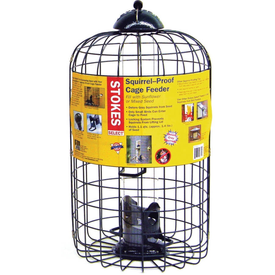 Stokes Select Squirrel Proof Caged Birdfeeder with 4 Feeding Ports, 9.3" Diameter, 1... by STOKES NATURE COMPANY LLC