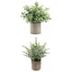 thumbnail image 1 of 2 piezas de plantas artificiales en maceta para decoración del hogar y bodas Desmodium+Pequeño Eucalipto, 1 of 9